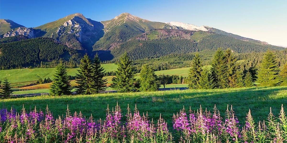Penzion Alex Nová Lesná Esterno foto
